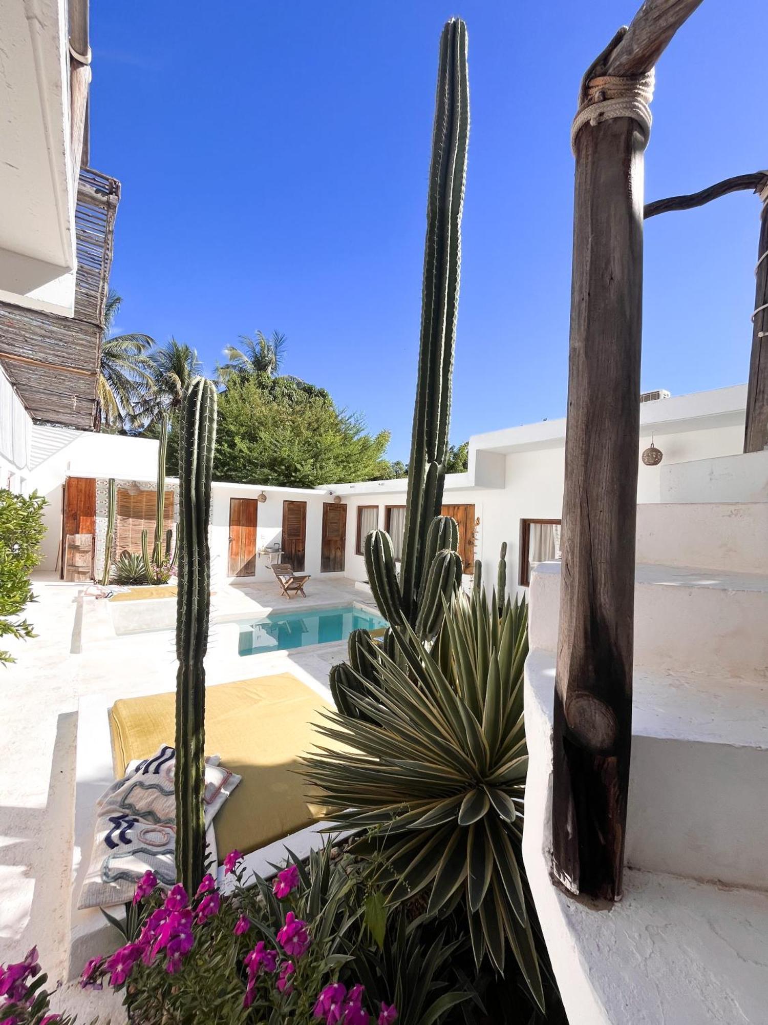 Casa Leone La Punta Hotel Brisas de Zicatela Ngoại thất bức ảnh
